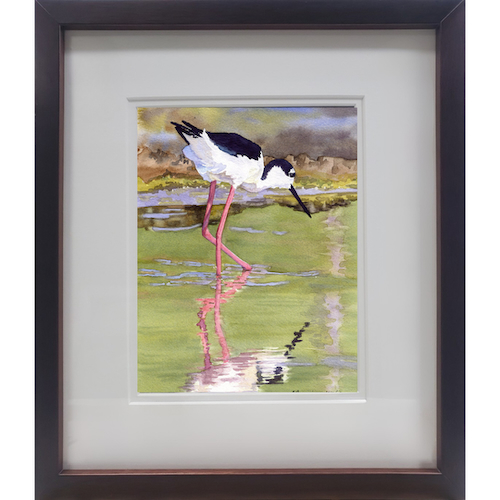 Click to view detail for Black Necked Stilt 8.5x6.5 $475